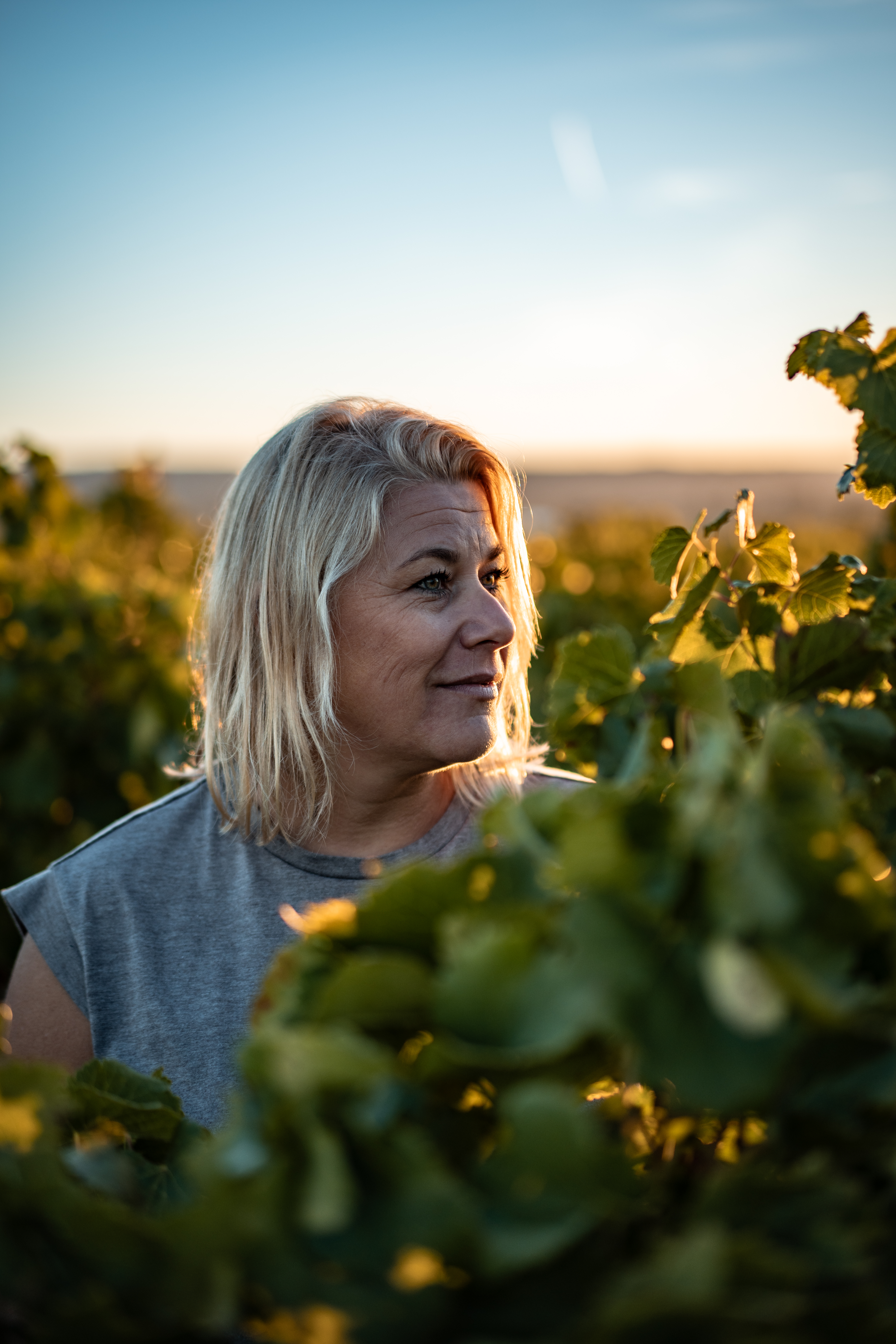 Aur&eacute;lie Saadi, Vinicultrice