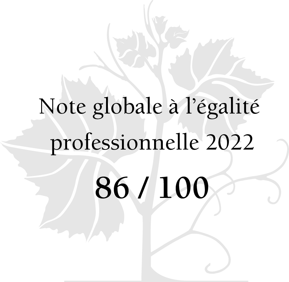 Egalité Professionnelle 2018