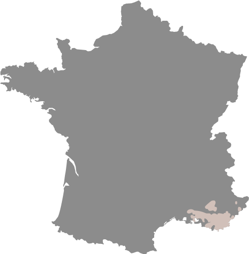 Région Bourgogne